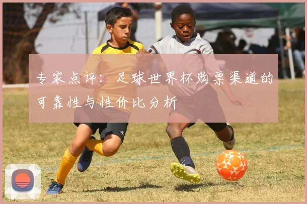 专家点评:足球世界杯购票渠道的可靠性与性价比分析