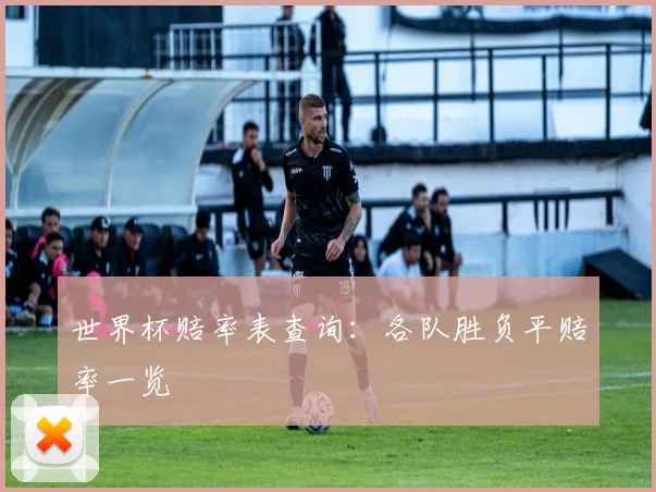 世界杯赔率表查询:各队胜负平赔率一览
