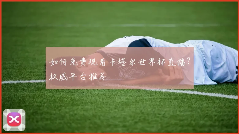 如何免费观看卡塔尔世界杯直播?权威平台推荐