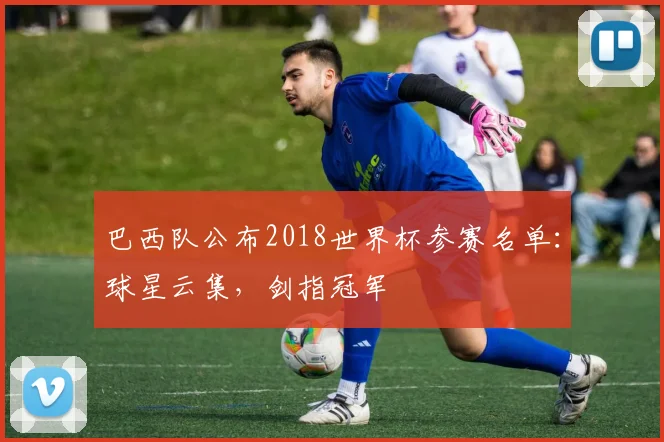 巴西队公布2018世界杯参赛名单:球星云集,剑指冠军