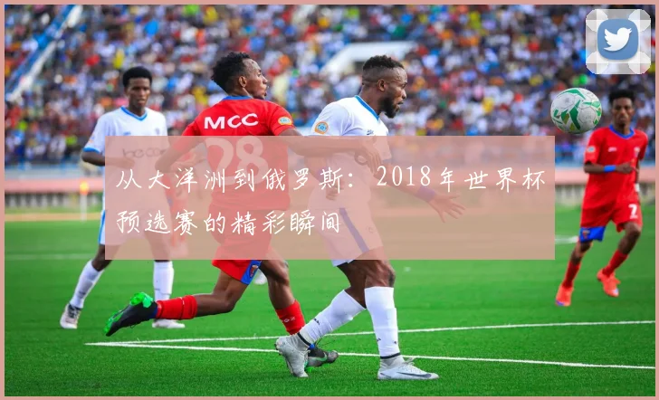 从大洋洲到俄罗斯：2018年世界杯预选赛的精彩瞬间