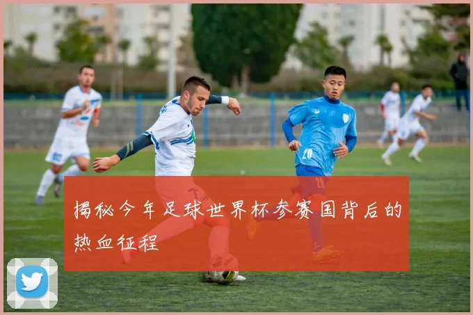 揭秘今年足球世界杯参赛国背后的热血征程