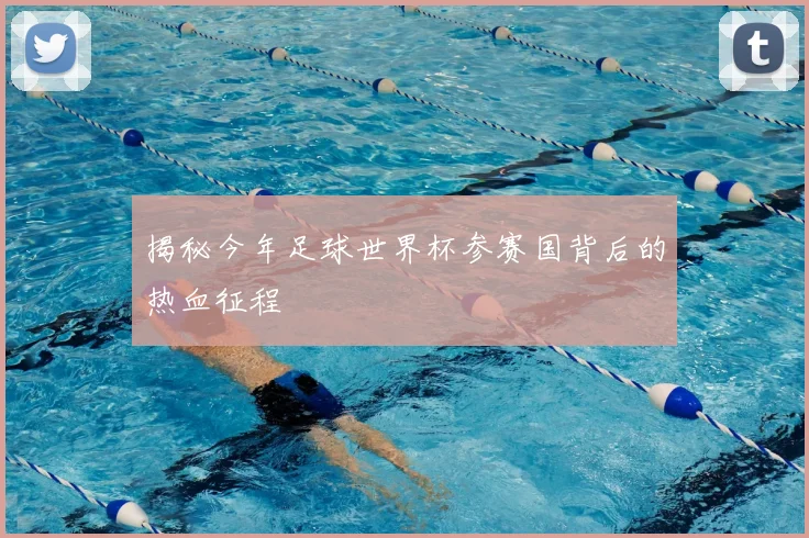 揭秘今年足球世界杯参赛国背后的热血征程