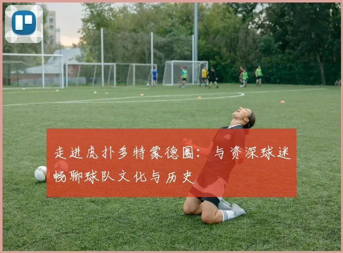 走进虎扑多特蒙德圈：与资深球迷畅聊球队文化与历史