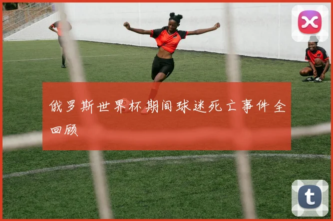 俄罗斯世界杯期间球迷死亡事件全回顾